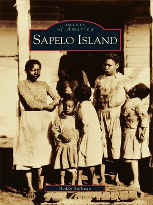 cover image of Sapelo Island